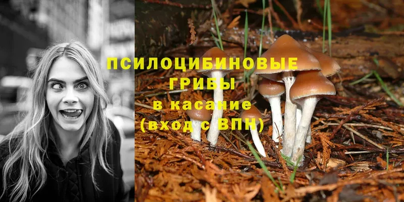 даркнет сайт  ссылка на мегу ссылки  Псилоцибиновые грибы Magic Shrooms  Жиздра 